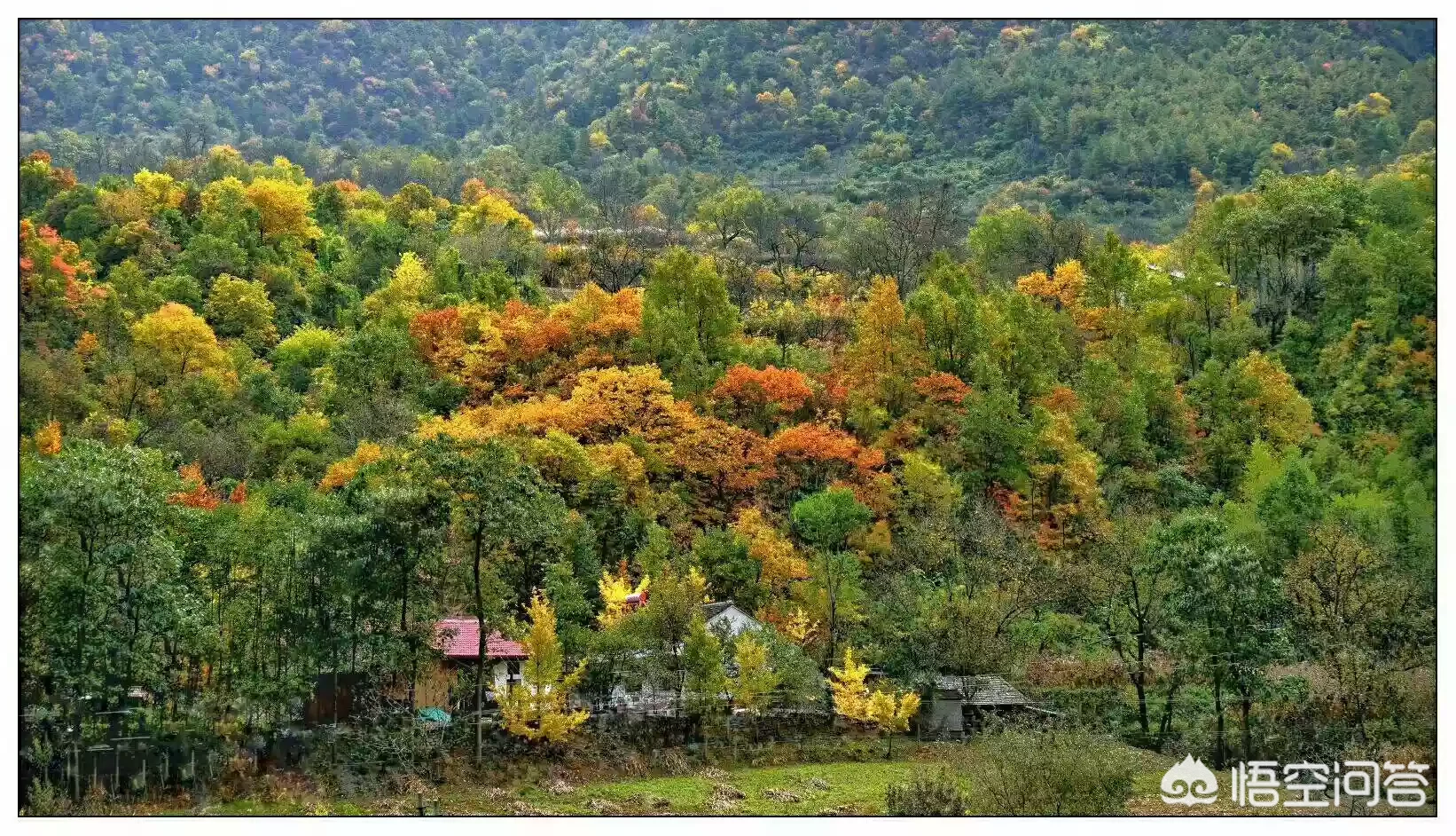 你自驾游最想去的是什么地方?
