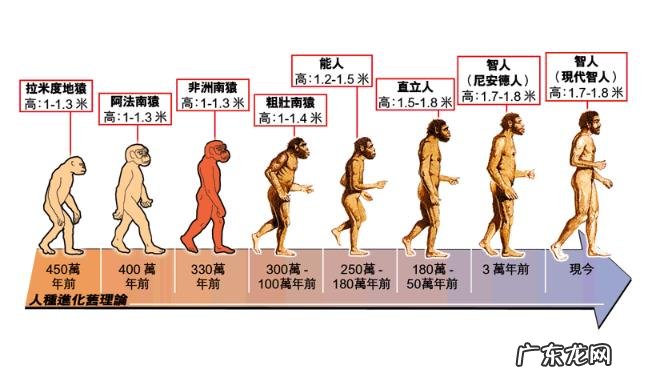 从生物进化角度讲,女性择偶有哪些偏好呢?