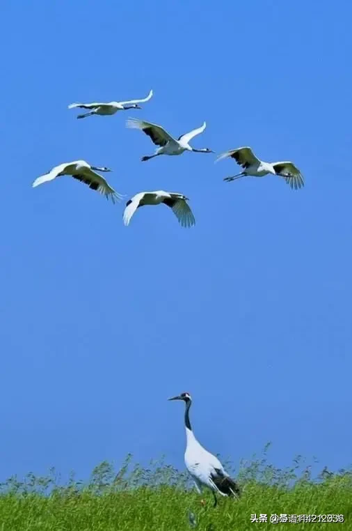 你已经有多久没看天空了，是否还有小时候那种感觉？