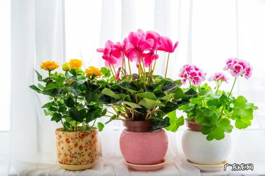 磷酸化学式怎么写来着 磷化氢的化学式