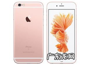 苹果12国行和美版哪个好 ipad国行和美版有什么区别在哪里