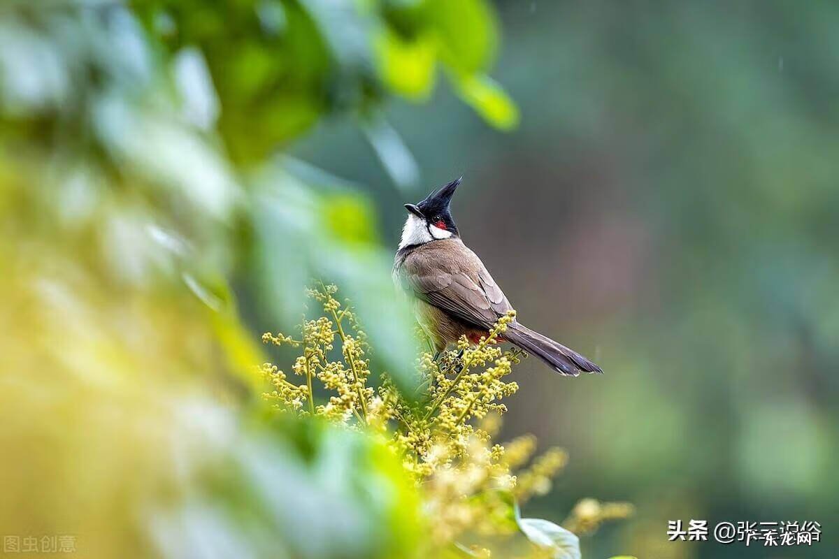 择日什么叫月忌 择日风水中月忌的意思是啥