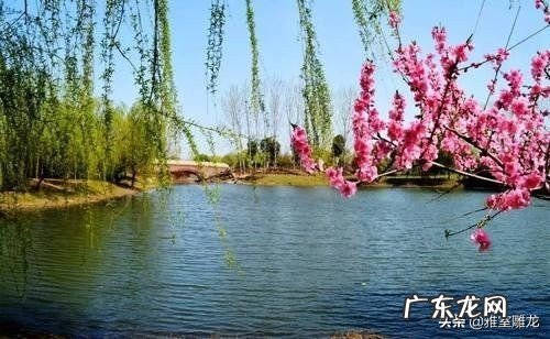 叶绍翁《游园不值》的园主人是谁?你怎么看?