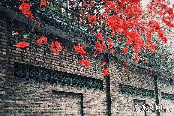 叶绍翁《游园不值》的园主人是谁?你怎么看?