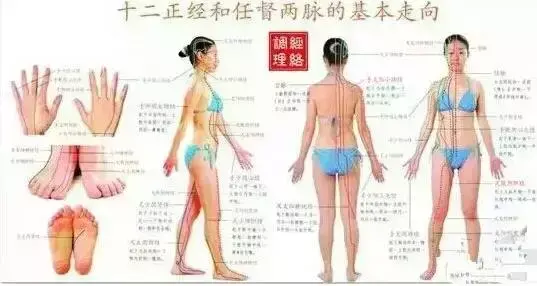 阑尾的方位 阑尾穴风水