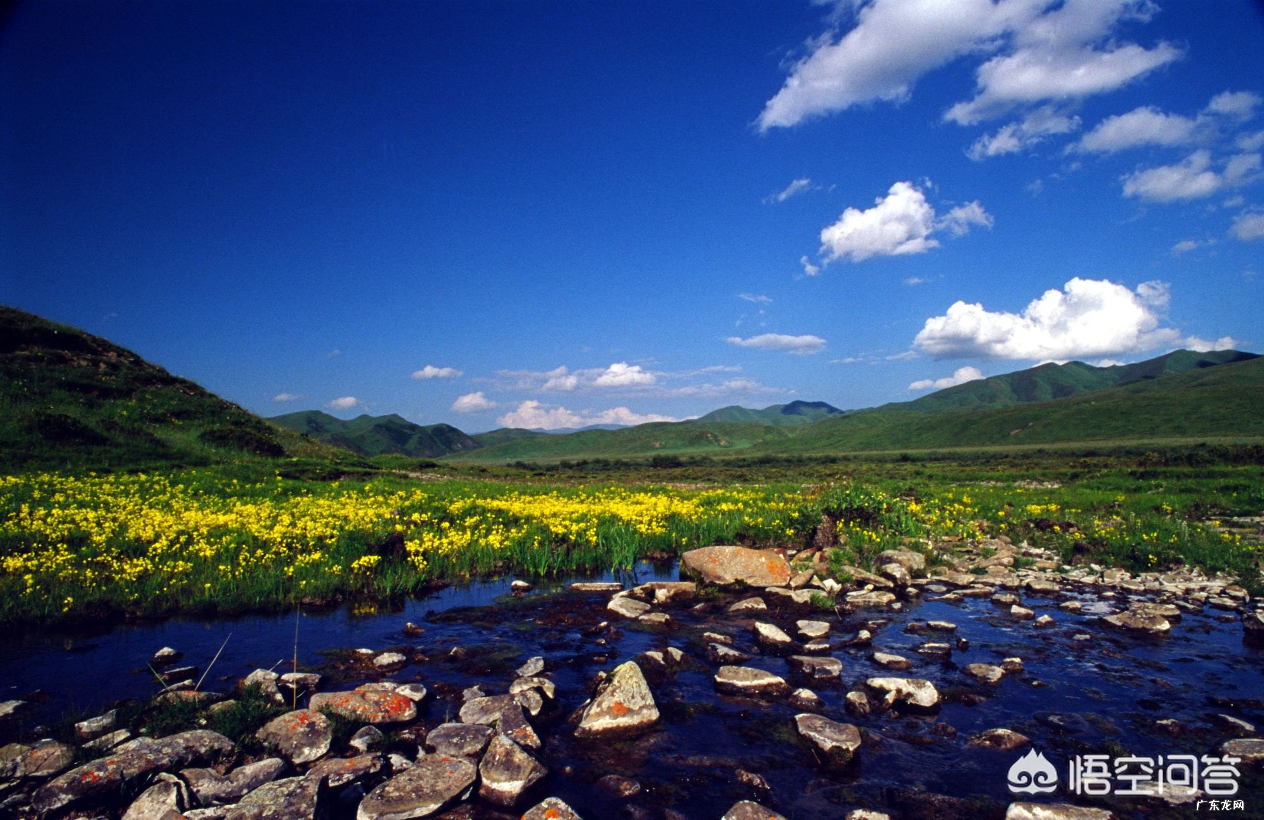 从宁夏银川到甘南自驾游五天怎么走好?