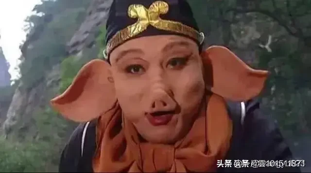 公历年、阳历年、阴历年和农历年的区别是什么？