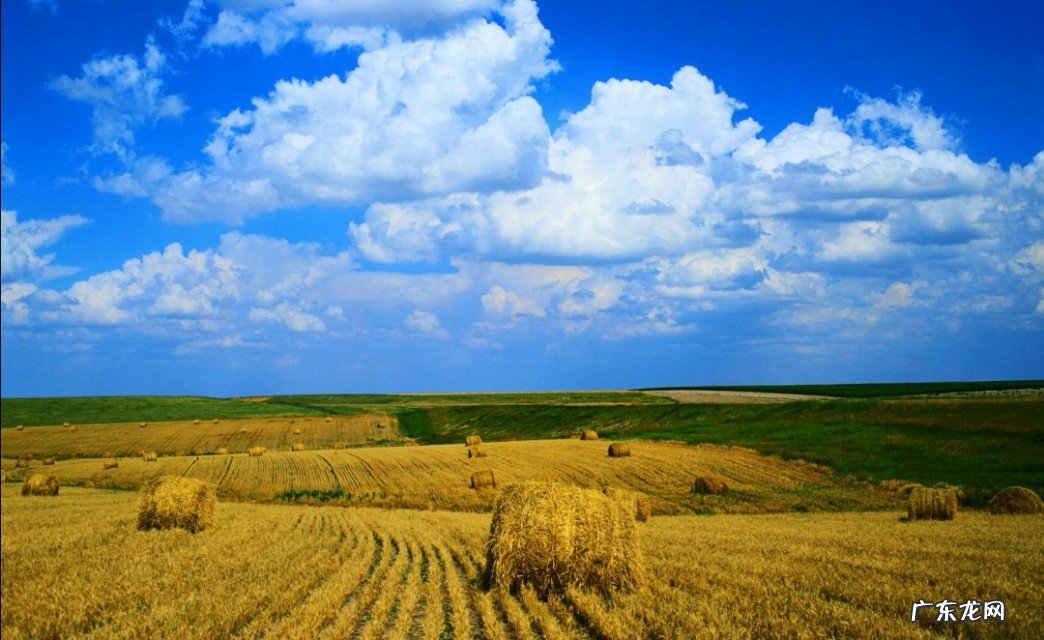 世上本无事,庸人自扰之。你怎么理解这句话?