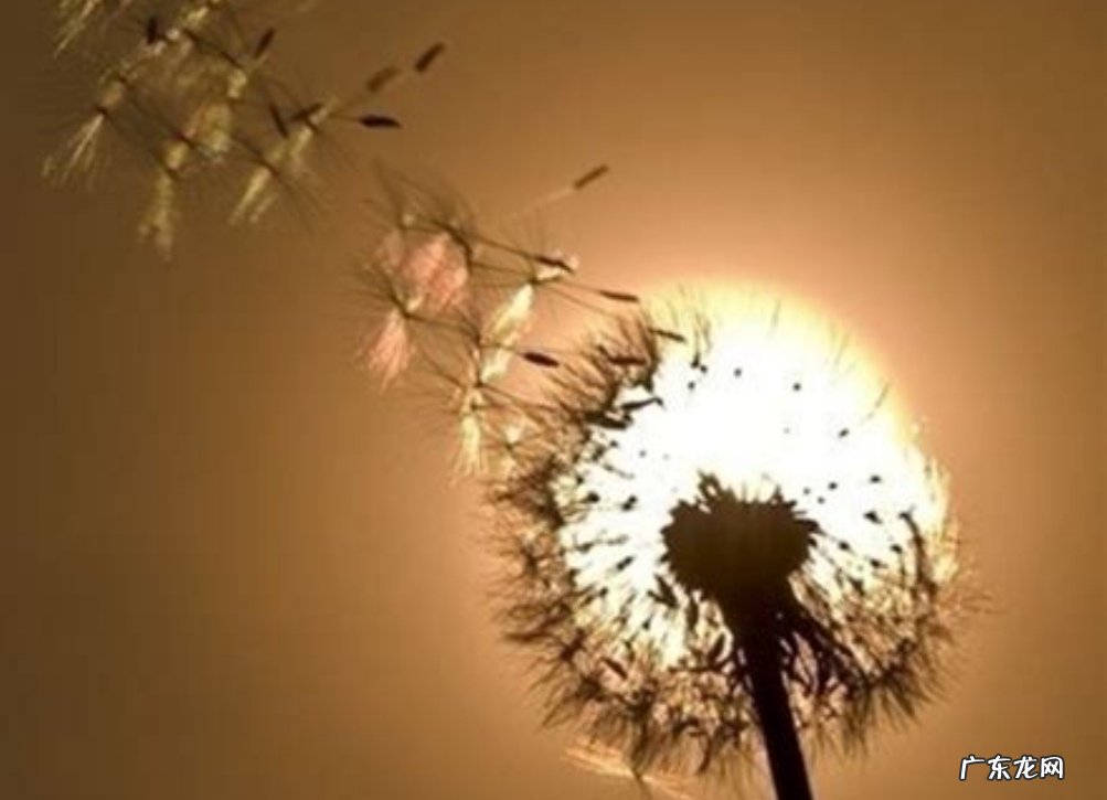 世上本无事,庸人自扰之。你怎么理解这句话?