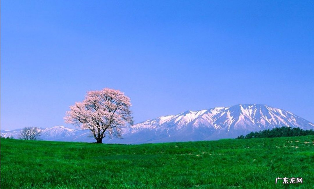 世上本无事,庸人自扰之。你怎么理解这句话?