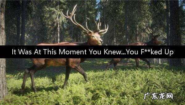 荒野的呼唤游戏 荒野的呼唤主要内容