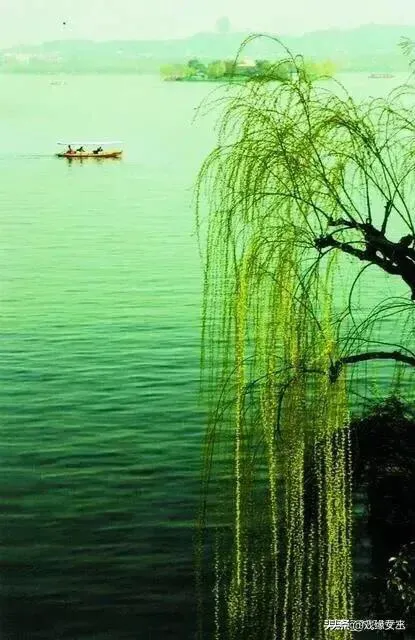 人活着的意义是什么?人为什么活着?