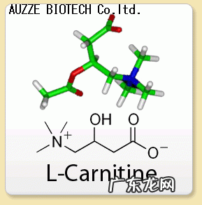 左旋肉碱粉末 左旋肉碱加可可粉