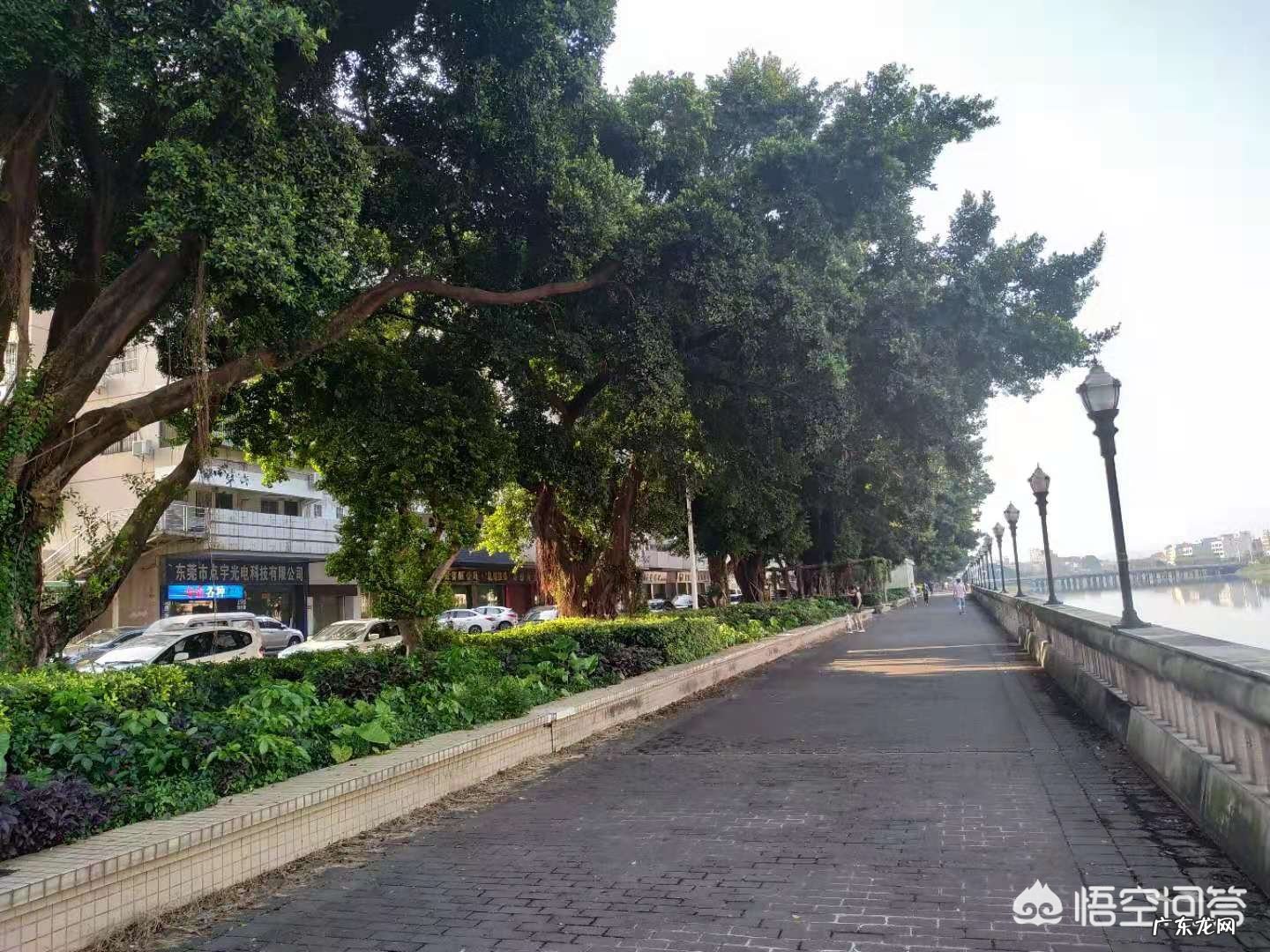 初中语文最重要的是什么?