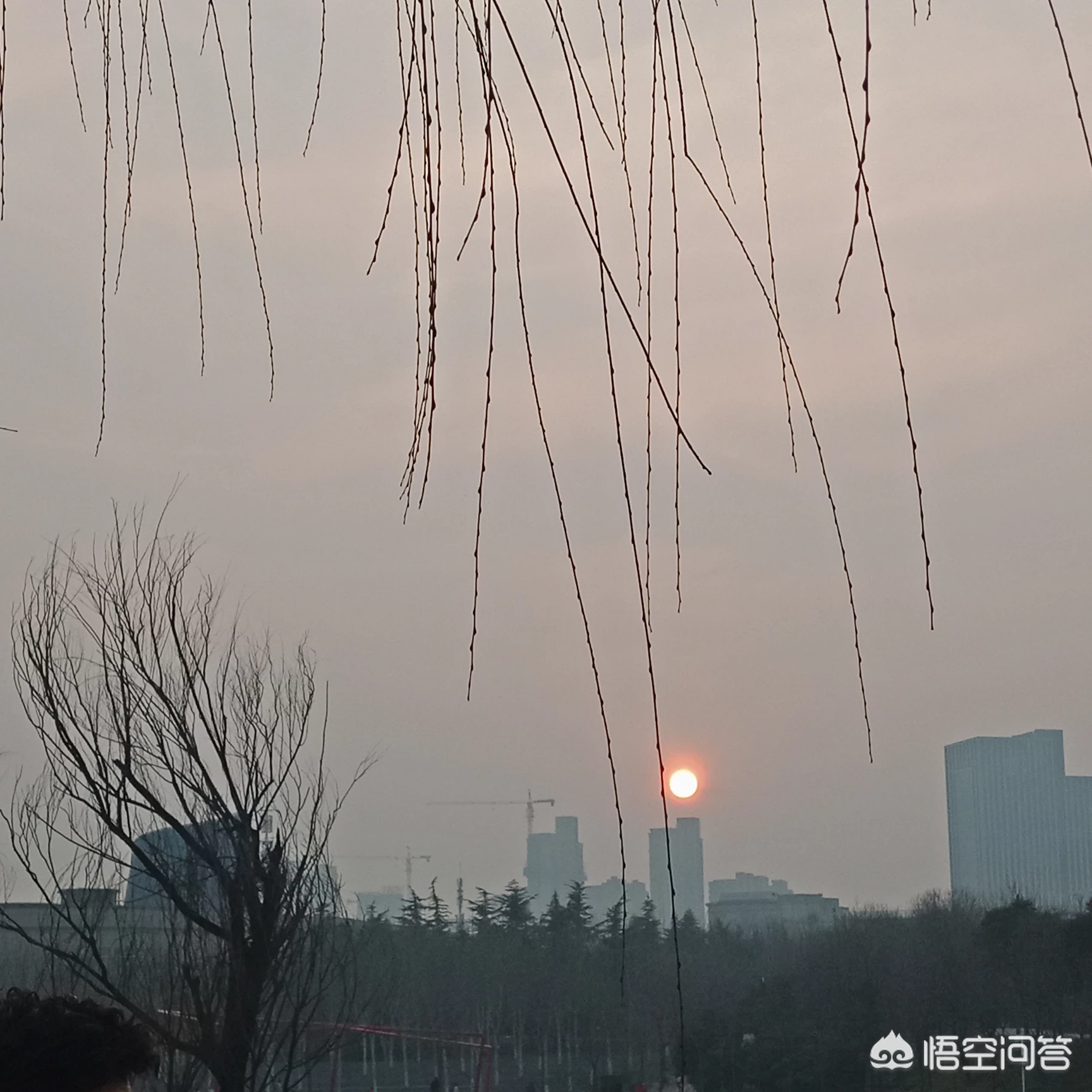 你认为保健食品是否具有预防疾病的保健功能?