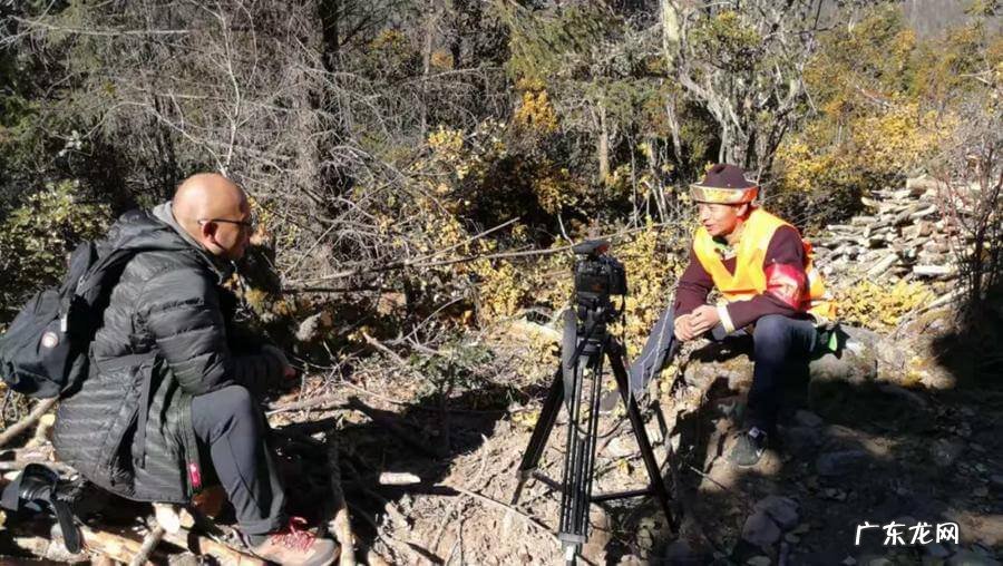 东南西北风水 左四右九风水