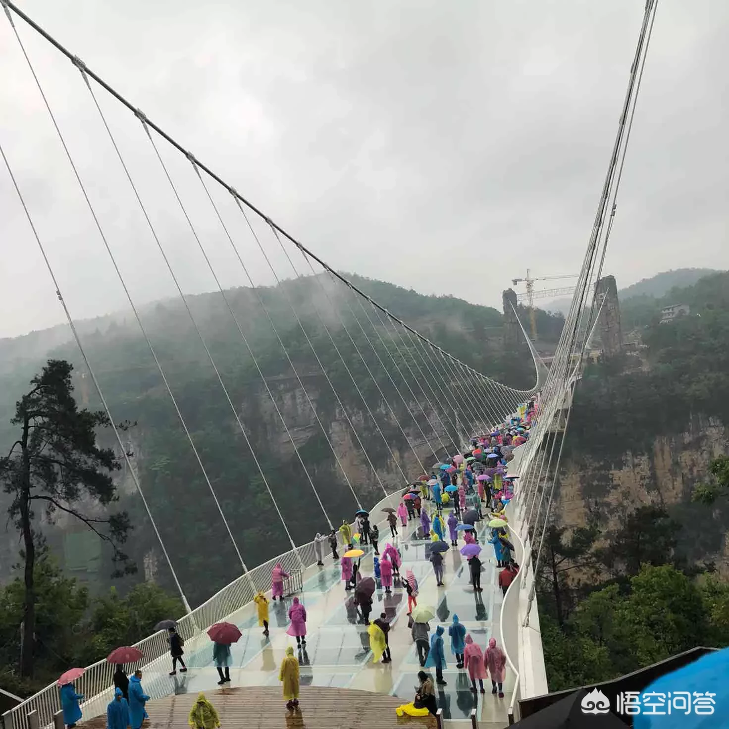 去张家界旅游可以自己玩吗?有必要找导游吗?