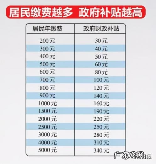 养老保险怎么交网上缴费 河南养老保险怎么交网上缴费