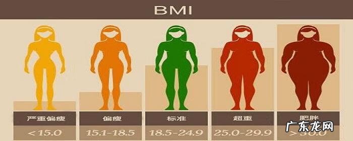 bmi体重指数对照表 体重指数计算