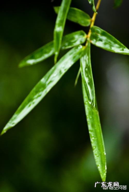 人可能在某一时刻获得余生永恒的快乐吗?