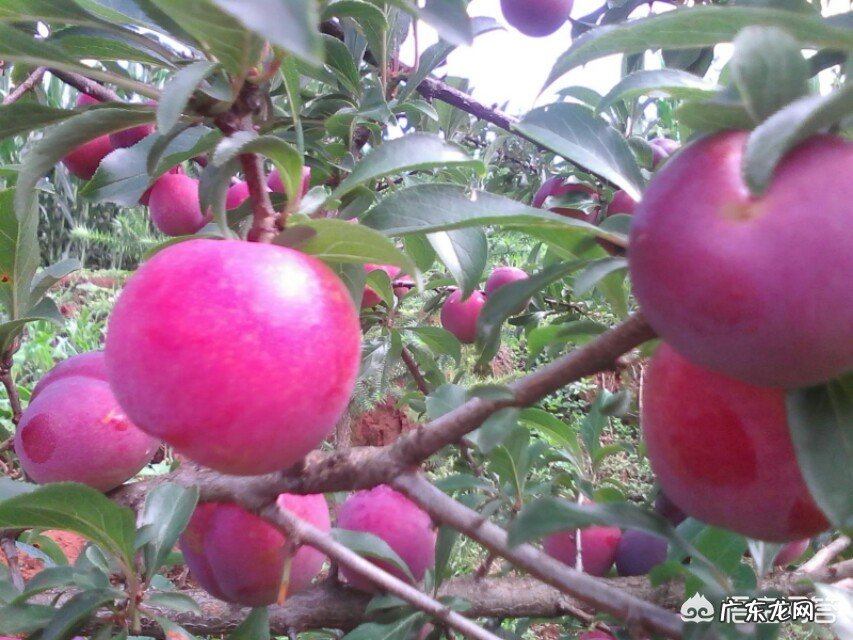 人可能在某一时刻获得余生永恒的快乐吗?