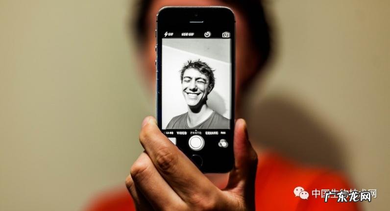 凡尔赛人物关系图 凡尔赛人是谁