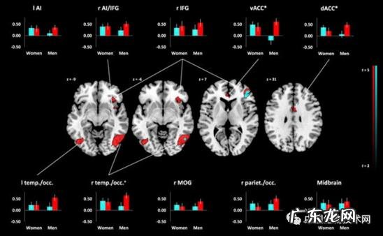 凡尔赛人物关系图 凡尔赛人是谁