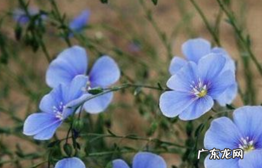 时辰凶是什么意思 出生的时辰凶是什么意思