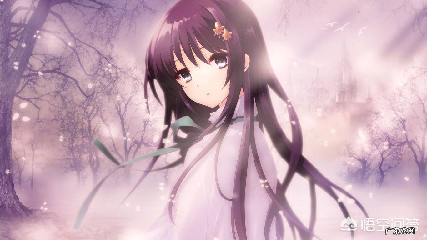 三八妇女节,你是怎么陪你老婆度过的?