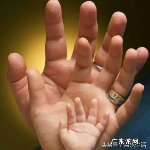 人应该怎么活才是正确的,人生最正确的8种活法