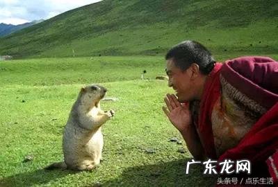 人应该怎么活才是正确的,人生最正确的8种活法