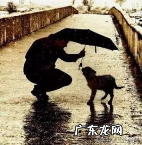 人应该怎么活才是正确的,人生最正确的8种活法