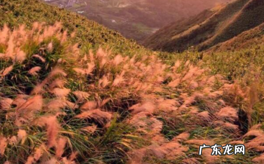 文字控是什么意思 文字控是什么意思快手