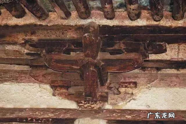 九龙朝凤 梦回九龙朝