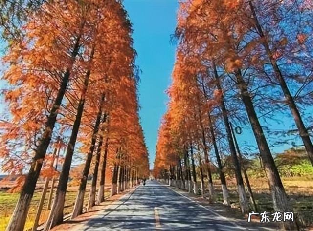 韶关龙王潭攻略一日游 韶关藏龙峡生态旅游区