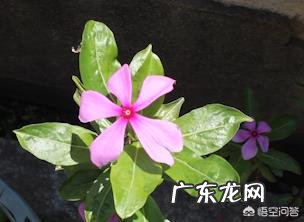 关于母亲节,你有什么特别想说的吗?