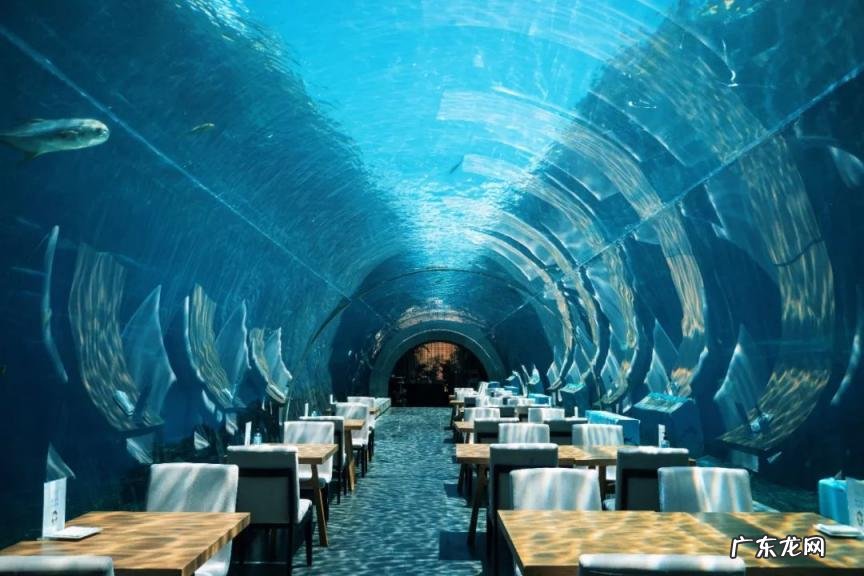 三亚免税店攻略经验教训 三亚免税店购物攻略2020