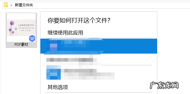 电脑上如何打开pdf文件 Wps怎么打开pdf