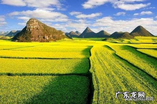 古代官员辞官后,没有俸禄怎么生活,靠什么来维持生计?