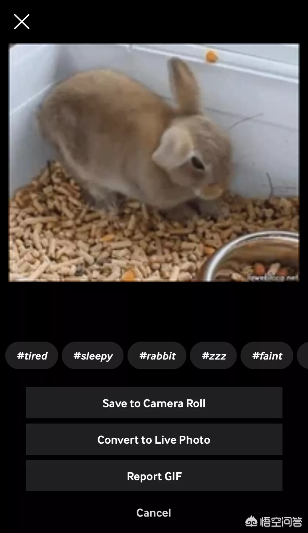 制作微信表情用什么软件?