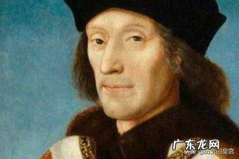 亨利七世是谁的儿子,亨利七世