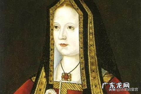 亨利七世是谁的儿子,亨利七世
