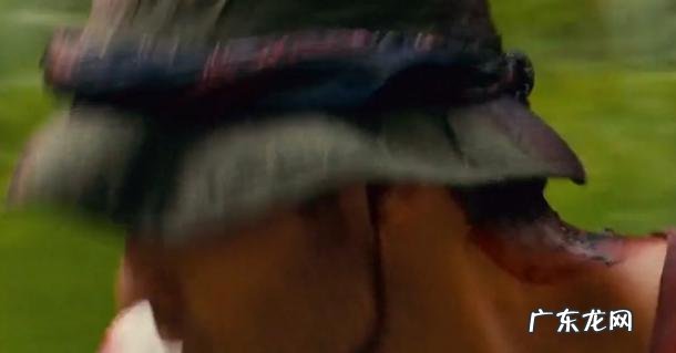 完美逃亡详细剧情介绍电影 完美逃亡详细剧情解析