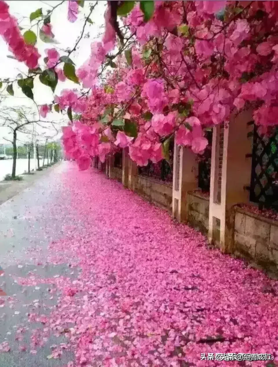 公司聚餐,给领导敬酒应该说些什么话?