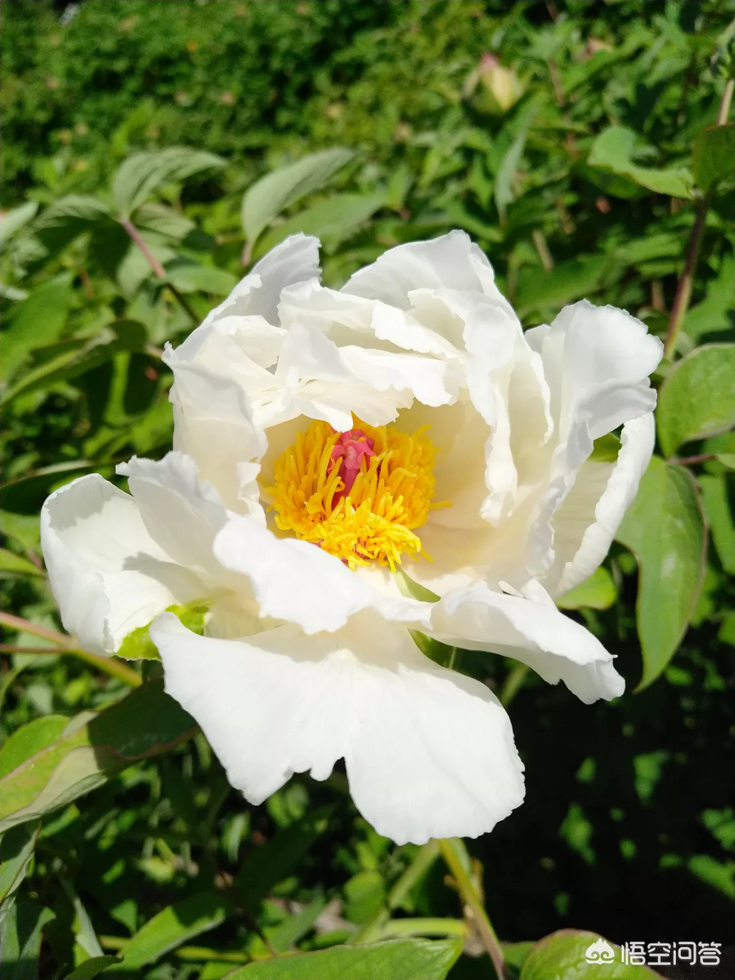 一本书读几遍比较好?