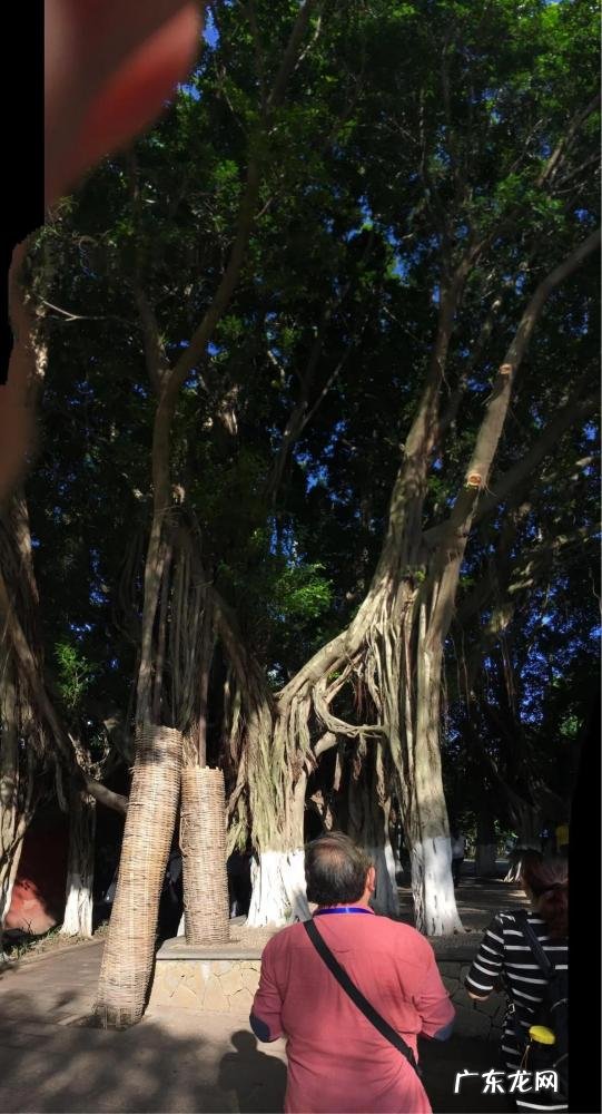 重庆奉节白帝城简介英语 奉节白帝城全景图