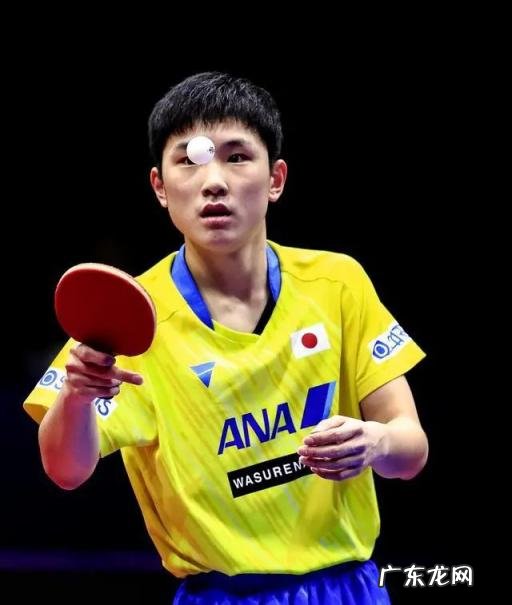 张本智和回四川被拒视频 张本智和被四川球迷气哭视频