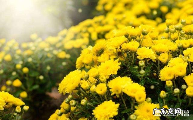 你知道的关于秋天的诗词有哪些?