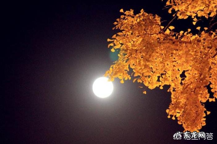 你知道的关于秋天的诗词有哪些?