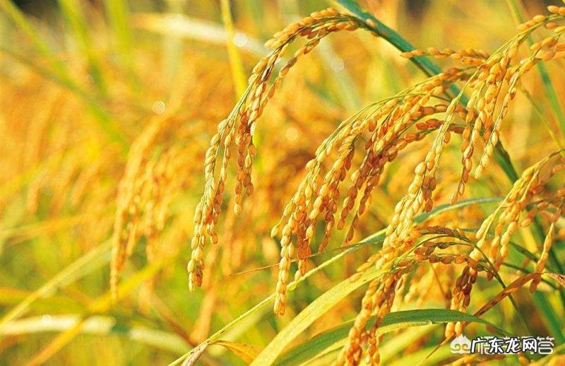 你知道的关于秋天的诗词有哪些?